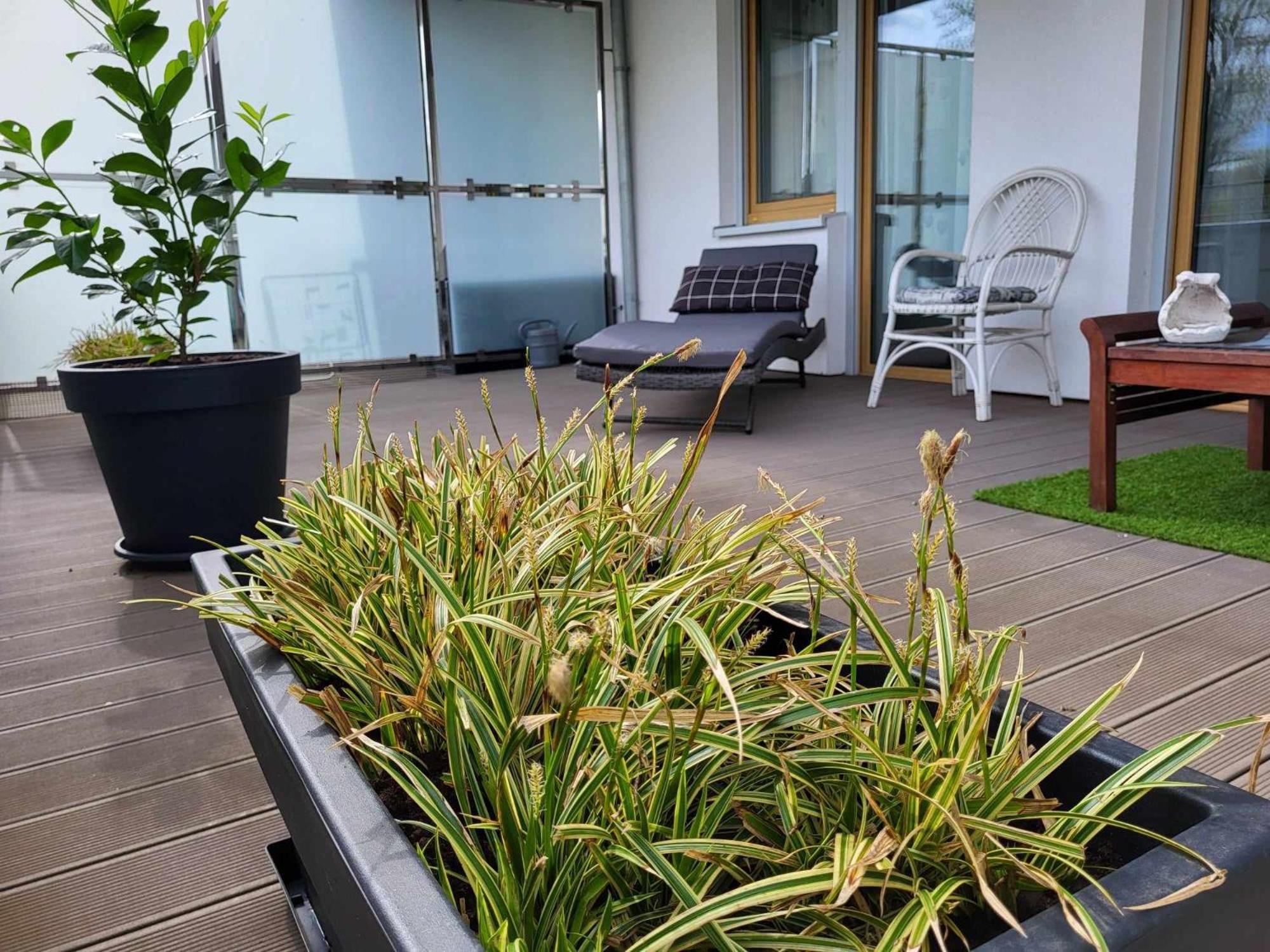 Miodowy Dom Exspanse Apartament 2 Lub 3 Pokoje Z Tarasem I Parkingiem Kolobřeh Exteriér fotografie